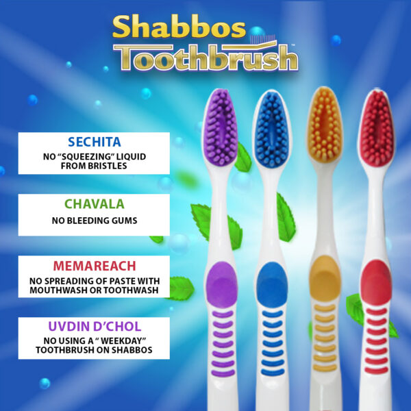 Shabbos Toothbrush 4-pack - Image 6