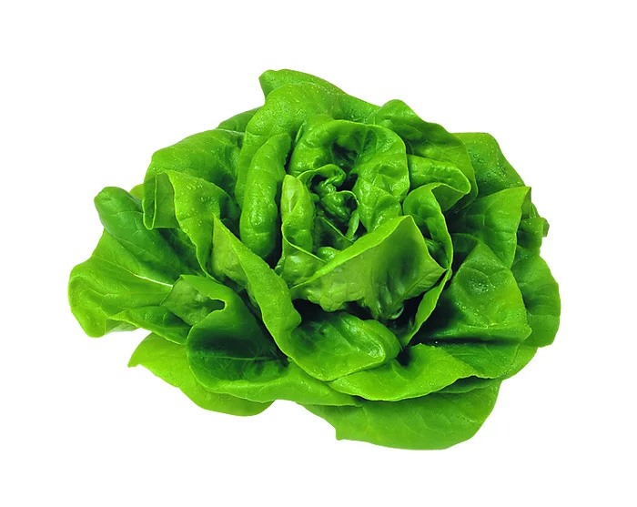 Fresh Leafy Greens Boston