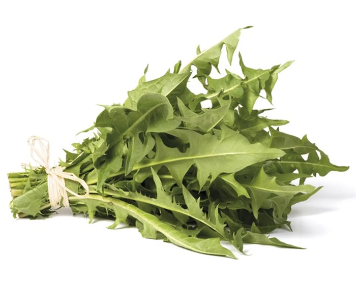 Fresh Leafy Greens Dandelion