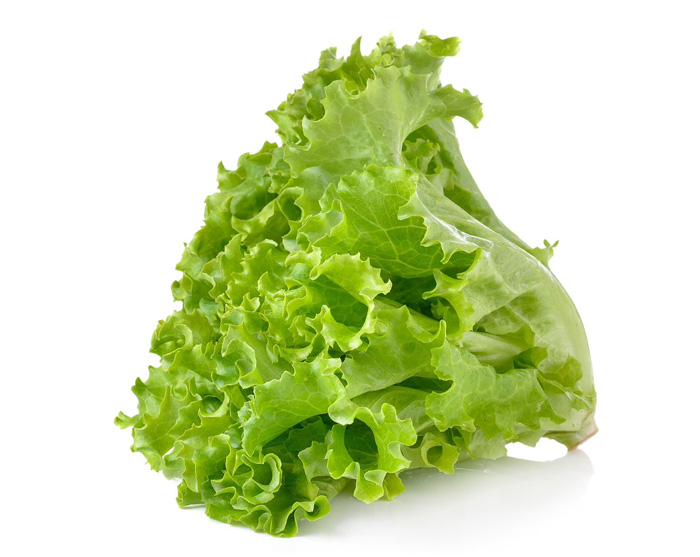Fresh Leafy Greens Lettuce