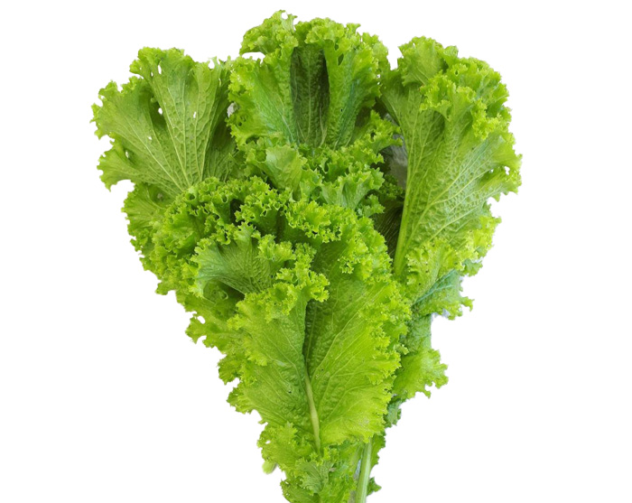 Fresh Leafy Greens Mustard