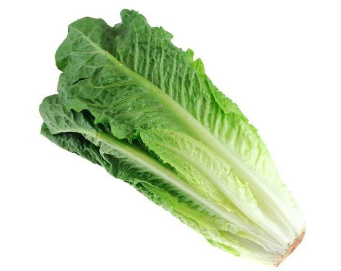 Fresh Herbs Romaine Lettuce