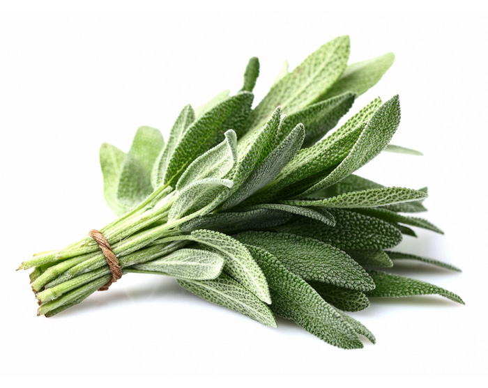 Fresh Herbs Sage