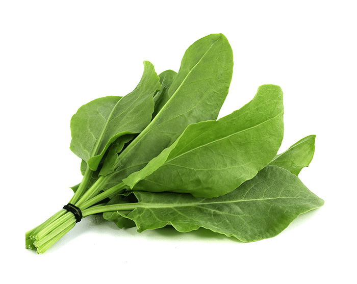 Fresh Herbs Sorrel