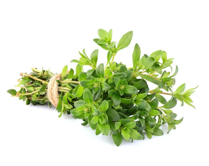 Fresh Herbs Thyme
