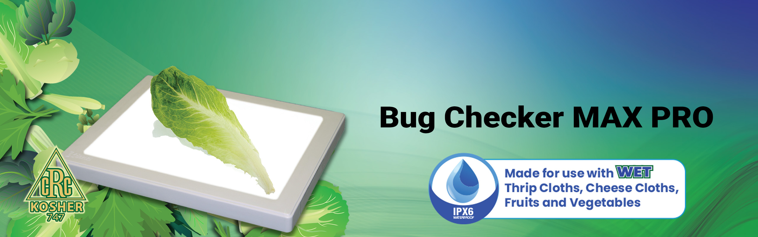 Home 3 Bug Checker _k