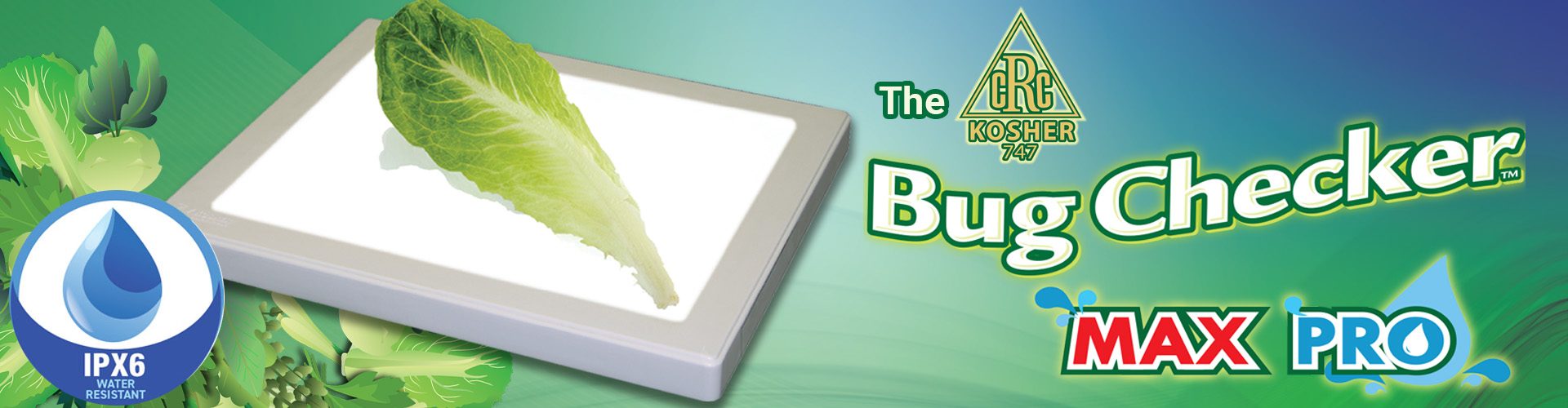 Bug Checker MAX PRO | Kosher Inspection Leaves Light Board